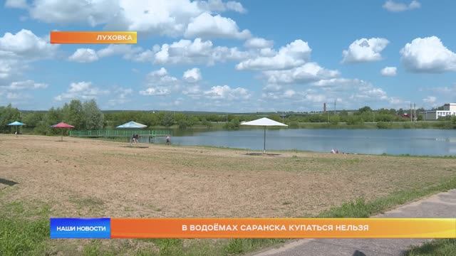 В водоёмах Саранска купаться нельзя