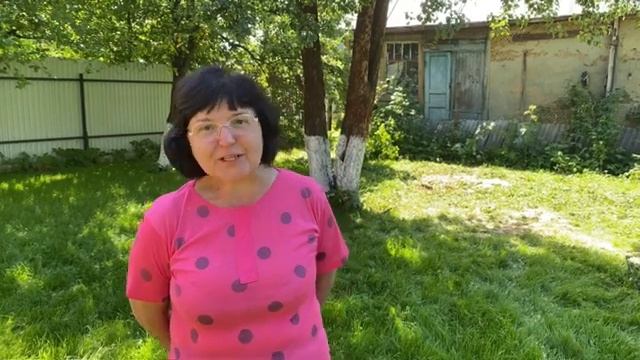 Спил и распиловка на чурбаки груш в Раменском районе