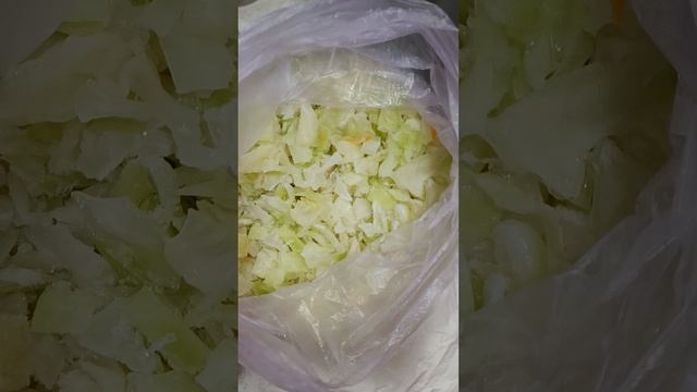 Щи... их действительно просто готовить