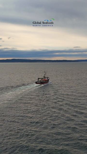 🚢 Лососевый тендер F/V Northwind уходит на север!
Съёмка с дрона DJI Mini 4 📹