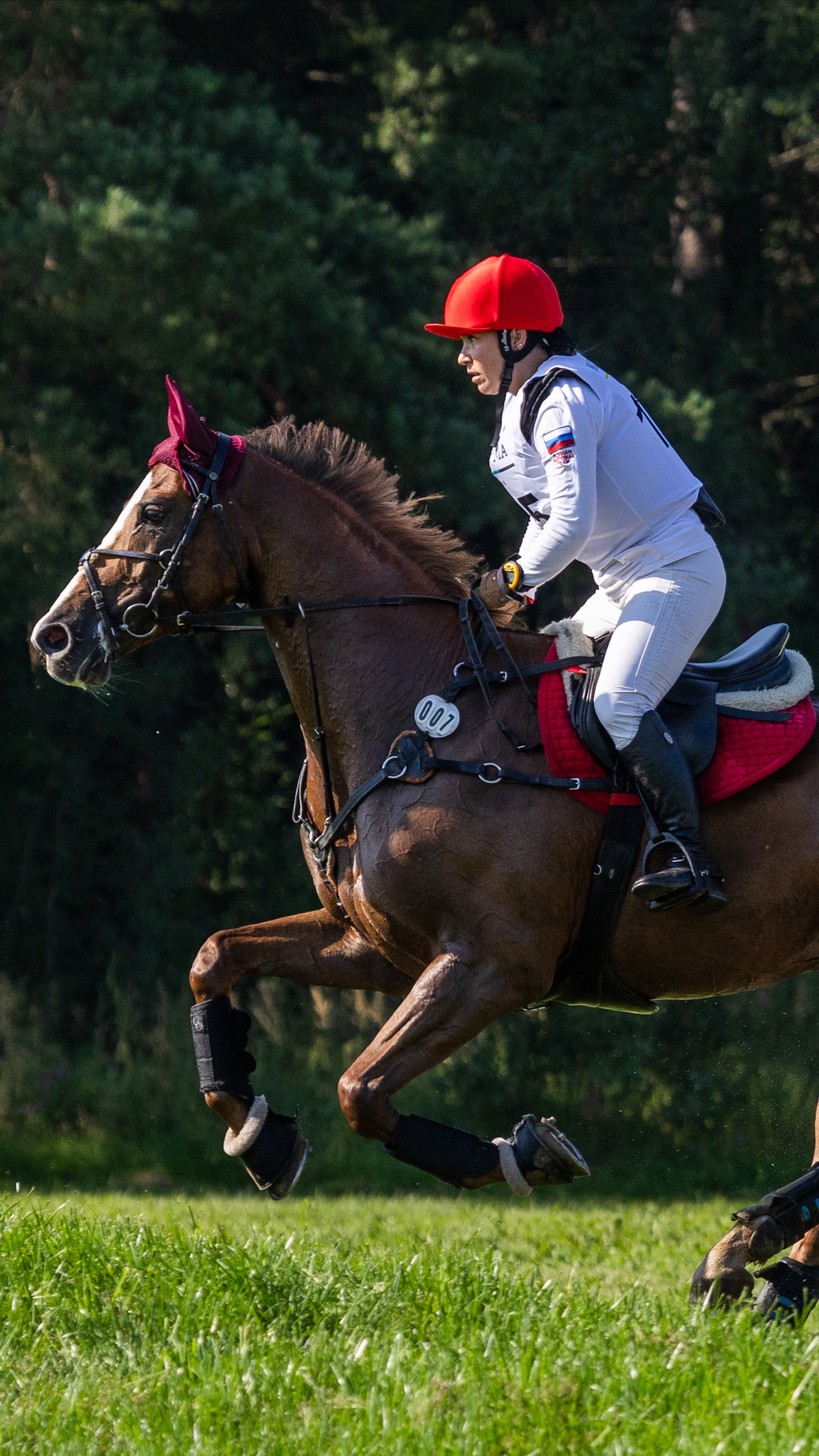 Horse one love ❤️