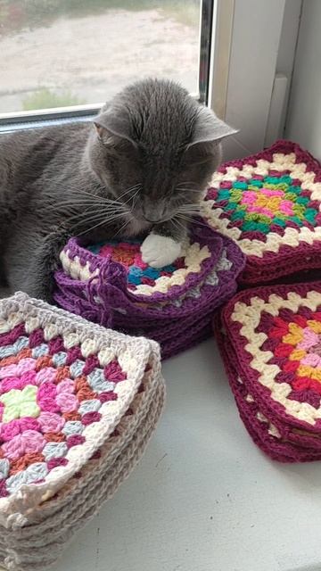#кот #бабушкинквадрат #зязаниекрючком