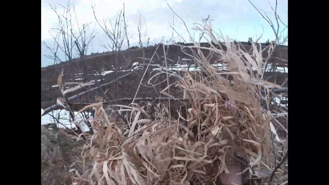 Построили скрадок для весенней охоты, ждём открытия.