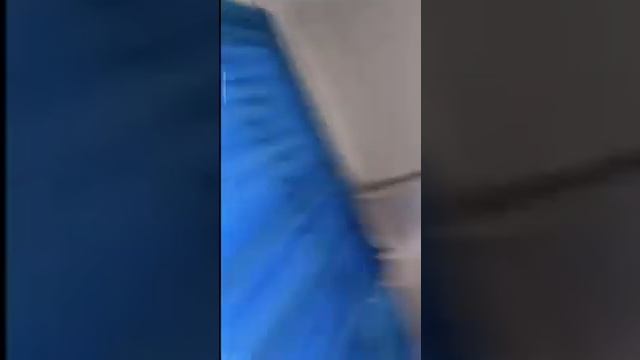 1000003028.mp4