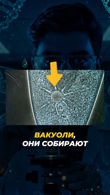 ЗАЛИПАТЕЛЬНЫЕ ИНФУЗОРИИ #shorts #биология