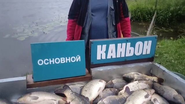 Каньон рыбалка.