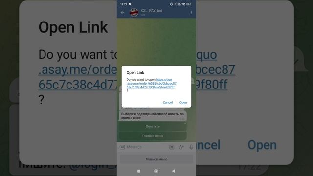 Инструкция бота для оплаты группы XXL. Заказы на межгород