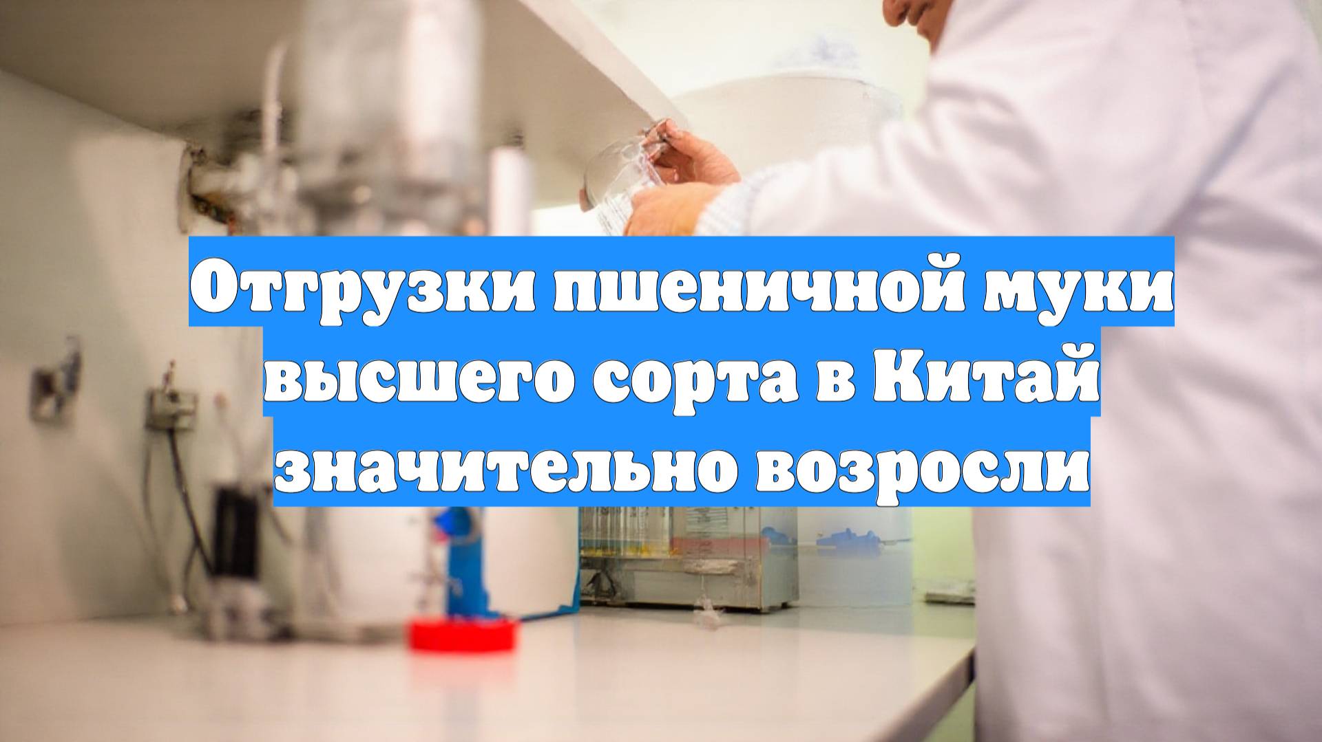Отгрузки пшеничной муки высшего сорта в Китай значительно возросли