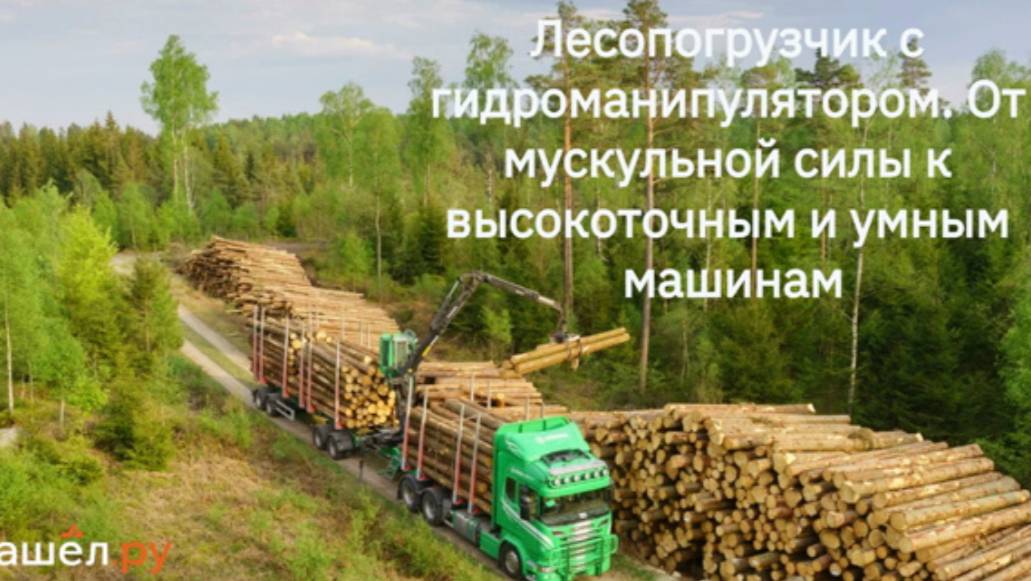 Лесопогрузчик с гидроманипулятором. От мускульной силы к высокоточным и "умным" машинам