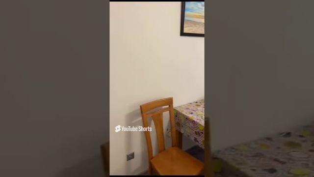 1000016689.mp4