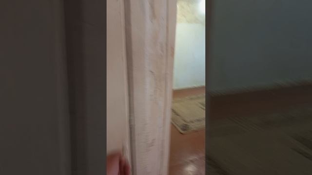 1000049864.mp4