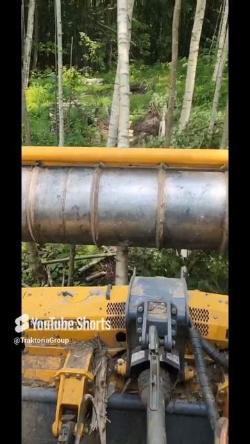 Единственная технология для быстрого создания урожайных Гектар 89261385927 #ротоватор #мульчер #mer