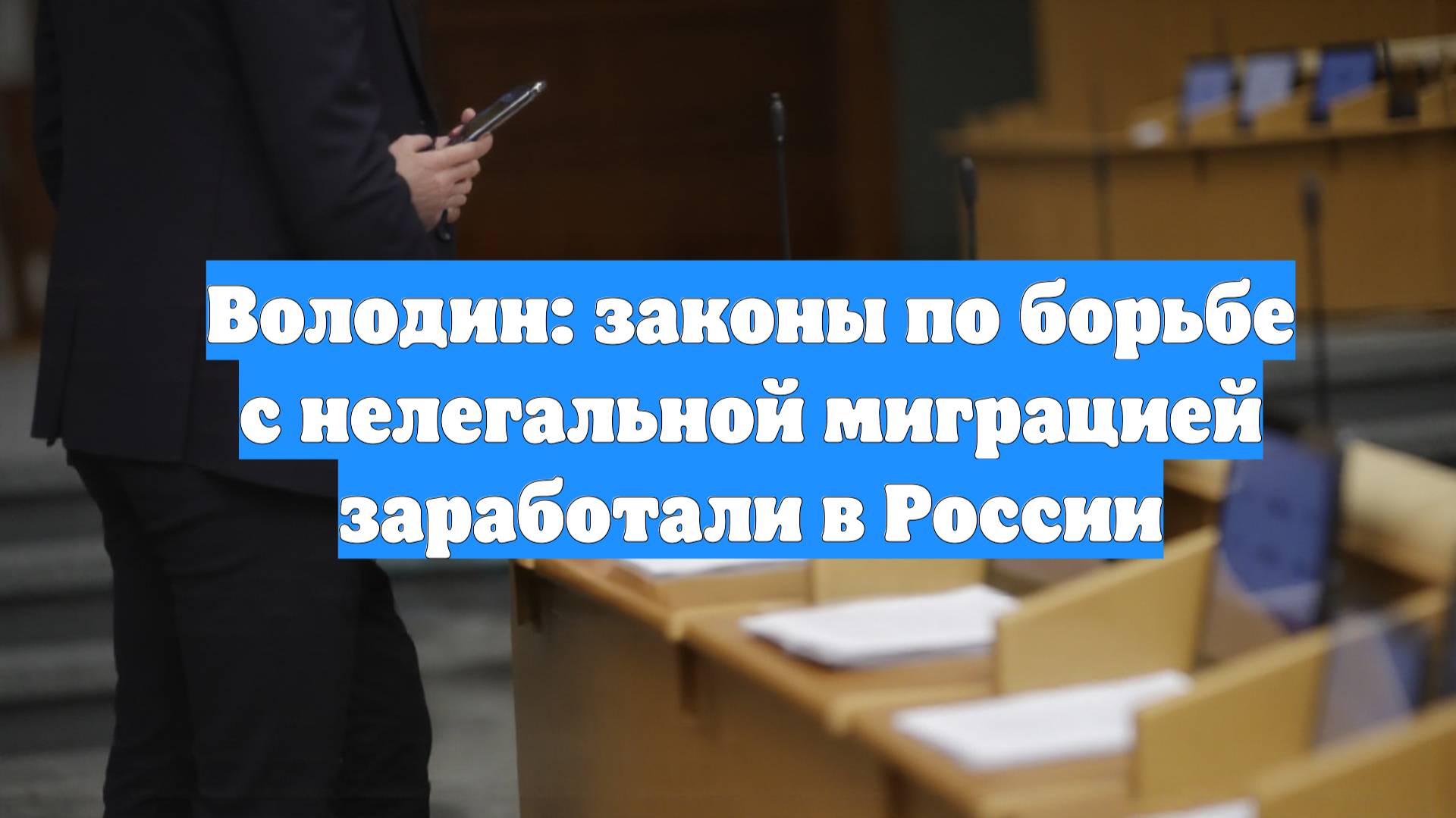 Володин: законы по борьбе с нелегальной миграцией заработали в России
