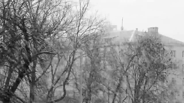 Вьюга и звезды