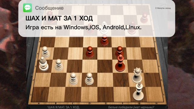 Шах и мат за 1 ход!