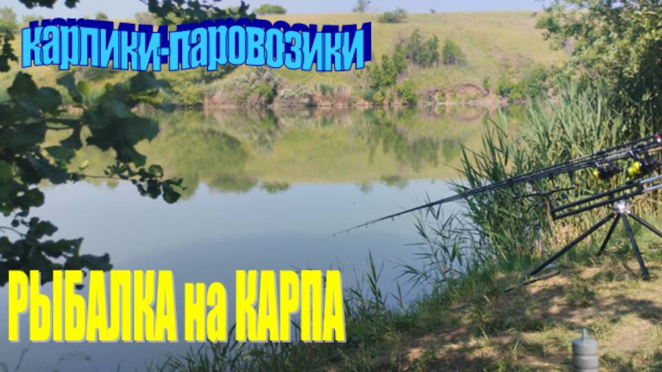 РЫБАЛКА НА КАРПА. Карпики-паровозики, но не все так однозначно