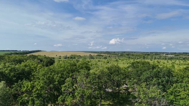 Уса. Берег около села Комаровка. Самарская область