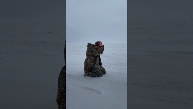 РАССКАЖИ ОБО МНЕ