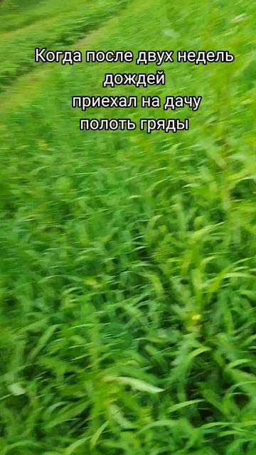 1000062884.mp4