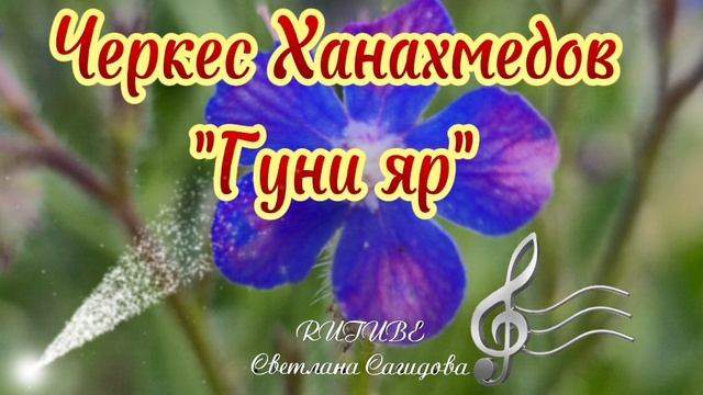 Черкес Ханахмедов _Гуни Яр 2025.mp4