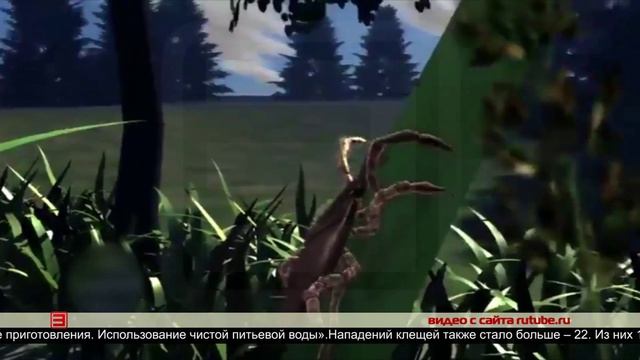 Подъем сезонных заболеваний 23.06.2025