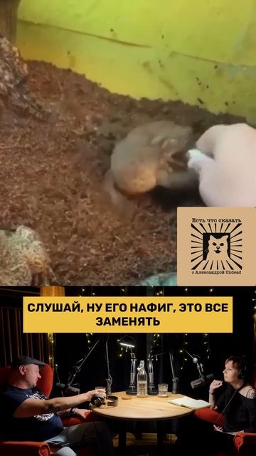 Интервью про алкогольные напитки - подкаст Есть что сказать с Александрой Undead