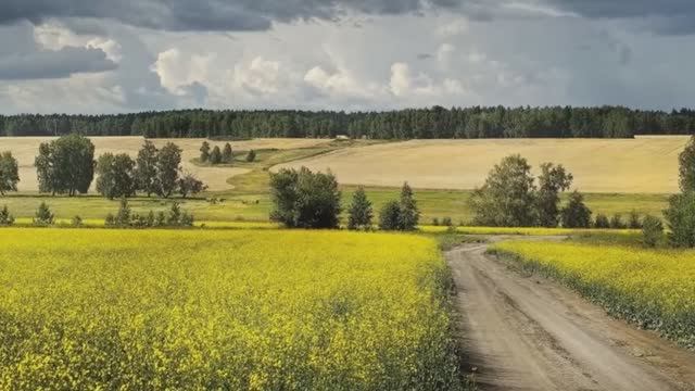 Вот и лето пришло