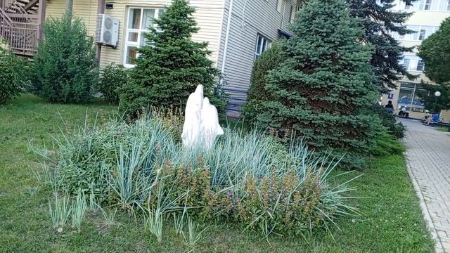 video_2025-06-23_20-52-24 (9)