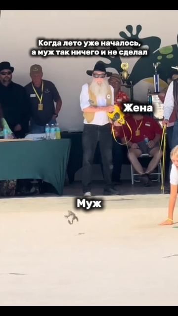 scene_output.mp4
