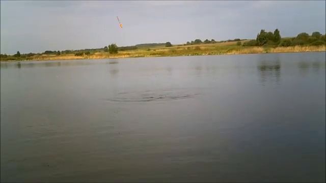 Бешеный клёв карася Поклёвка - главная героиня ролика [get-save.com].mp4