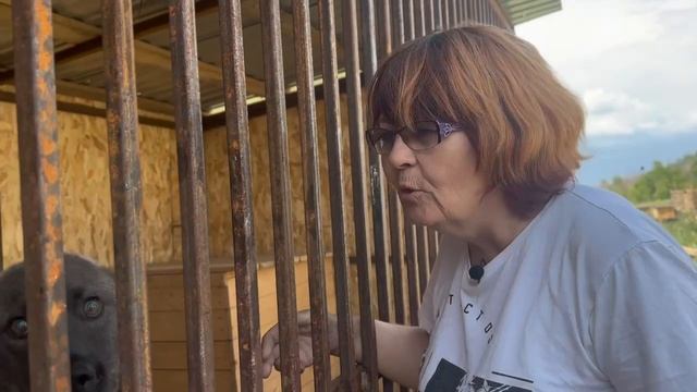 Барулина С. «Отражение личности».