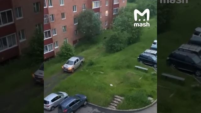 Медведь ходит по дворам Иркутской области, что в России норм)