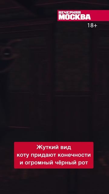 Почему страшные игрушки популярны у детей? // Вечерняя Москва