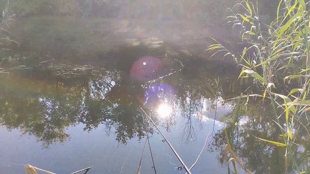 приехали гости поехали на рыбалку