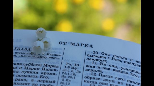 Евангелие от Марка. Глава 1. (Читает Татьяна Дмитреняк)