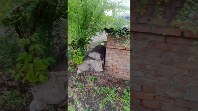 VID_20250624_163450