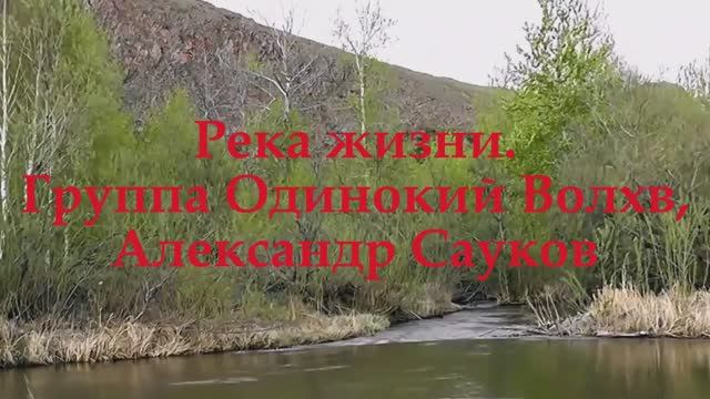 Река жизни (Премьера клипа 2025 г.)