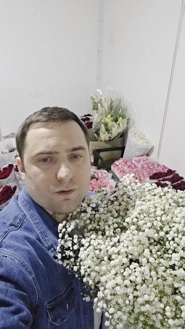 Гипсофила цветы