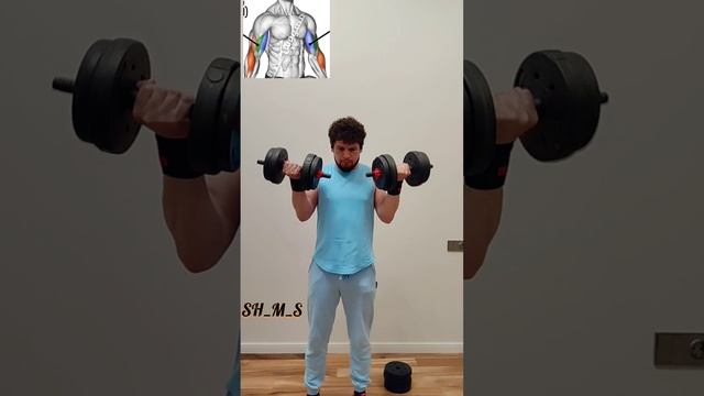 упражнения для плечи с помощью гантелями