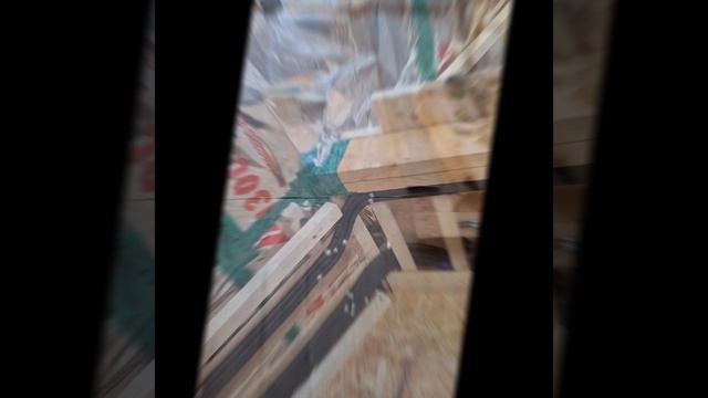 1000027203.mp4 (Собака смотрит на строительную часть под и/бруса на кухне в доме А-фрейм)
