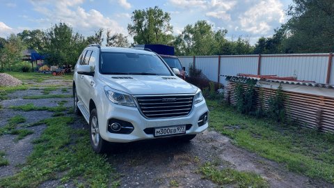 Повезло... Лось вышел на дорогу! Внимание - ненормативная лексика.