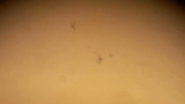 солнце 23.06.25
