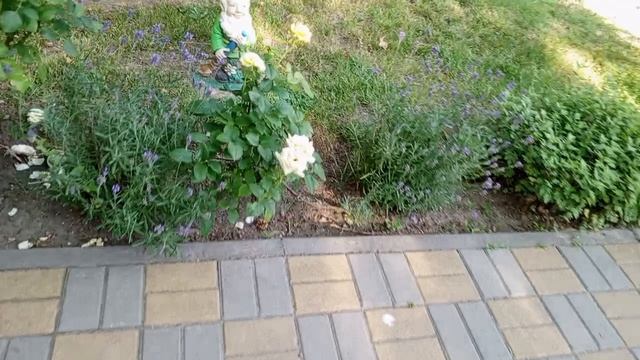 video_2025-06-23_20-52-24 (7)