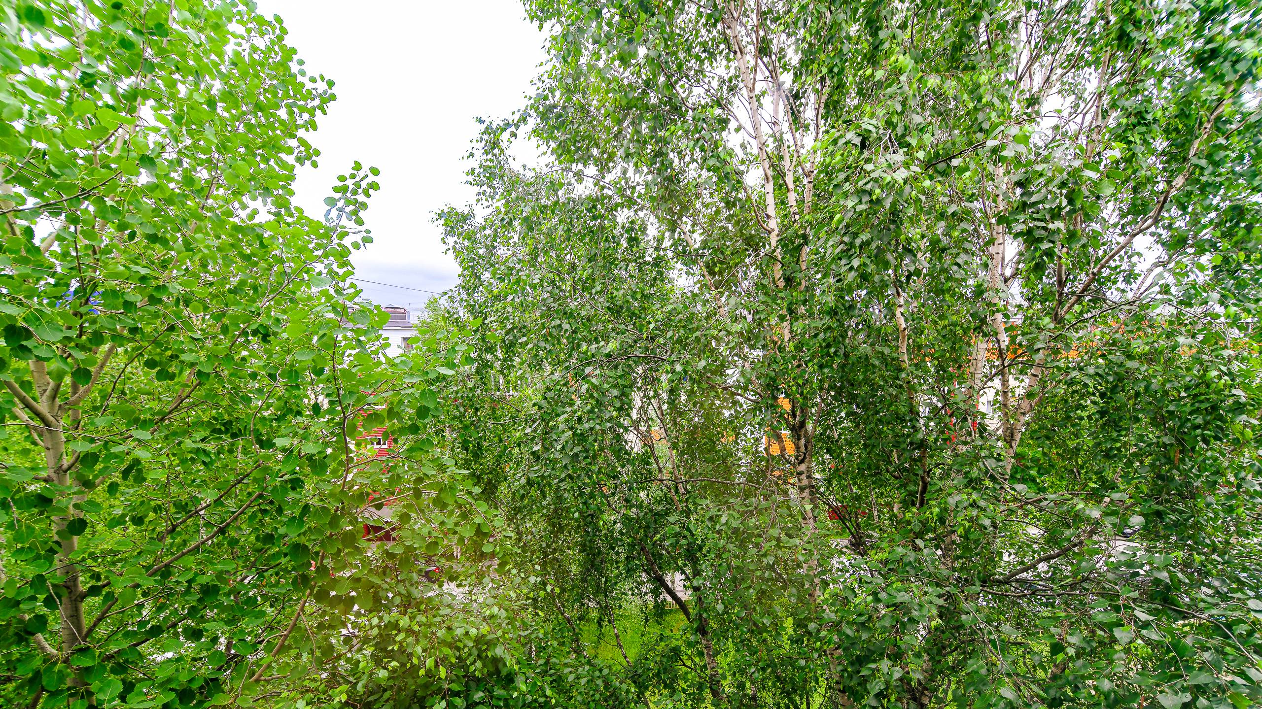 8561394 Энергетиков 39