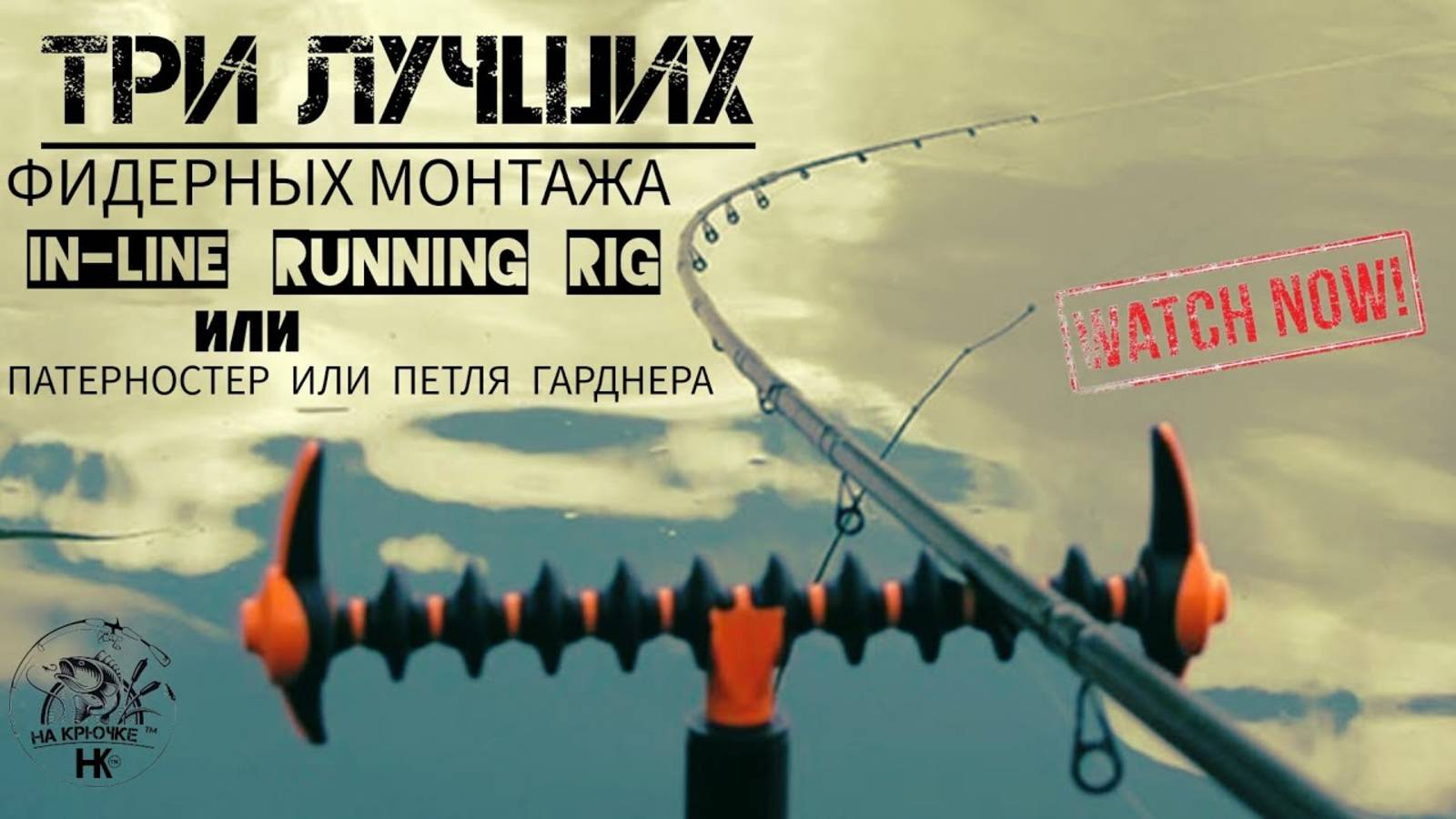 Три ЛУЧШИХ фидерных монтажа! Для ловли карпа,леща,карася,плотвы и др. Школа рыбалки. #фидер #рыбалка