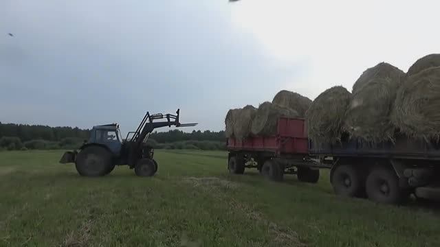 Сенокос начался!
