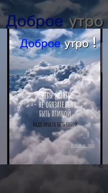 Доброе утро #доброеутро #благодарность