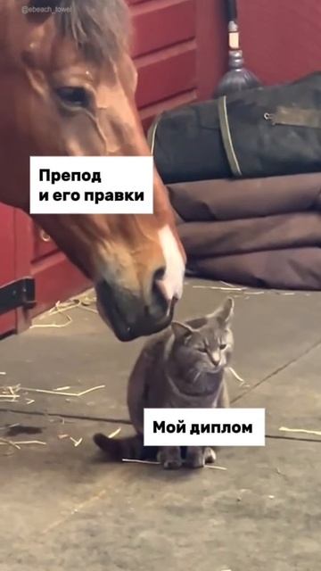 Диплом терпит...