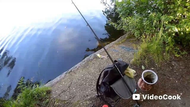 Вторая половина июня. Рыбалка на пруду.