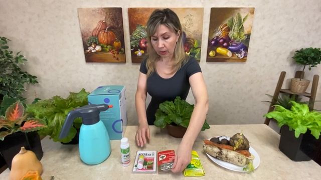 СПАСАЕМ РАССАДУ ОТ ВСЕХ ВРЕДИТЕЛЕЙ БЕЗОПАСНЫМИ СРЕДСТВАМИ
